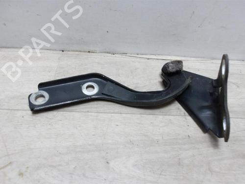 Hinge/Door check strap VW FOX Hatchback (5Z1, 5Z3, 5Z4) 1.2 | BP13133647C146 