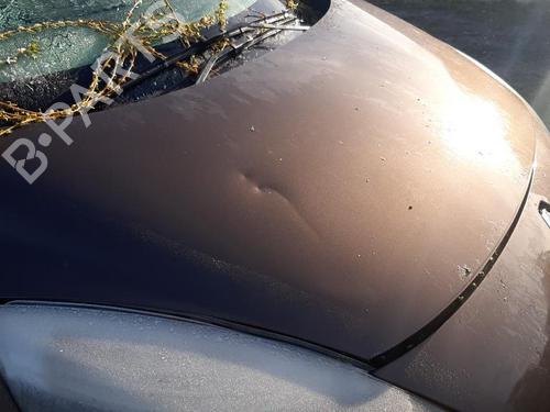 Wheel arch RENAULT SCÉNIC III (JZ0/1_) 1.9 dCi (JZ0J, JZ1J, JZ1K, JZ1S) | BP32342016C56 