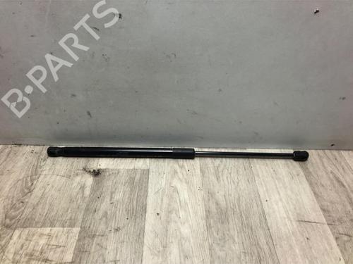 Used Tailgate lift support MERCEDES-BENZ A-CLASS (W169) A 180 CDI (169.007, 169.307) (109 hp) 20613620