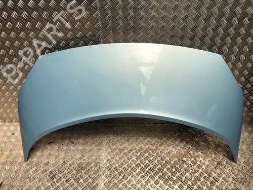 hood-renault-scenic-ii-jm01_-2003-2004-2005-2006-2007-2008-2009-2010-36644959 main image