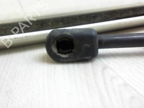 Tailgate lift support DACIA SANDERO 1.5 dCi | BP13132975C138