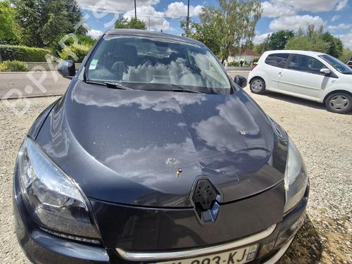 Used Parts RENAULT MEGANE III Hatchback (BZ0/1_, B3_) 1.5 dCi (BZ09, BZ0D, BZ1W, BZ29, BZ14) 5009583