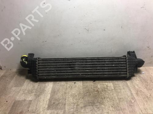 Intercooler VOLVO S40 II (544) 1.6 D | BP20619005M30 