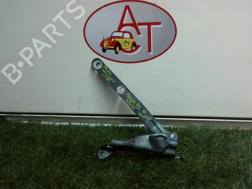 Hinge/Door check strap ROVER 75 (RJ) 2.0 CDTi | BP13264964C146 