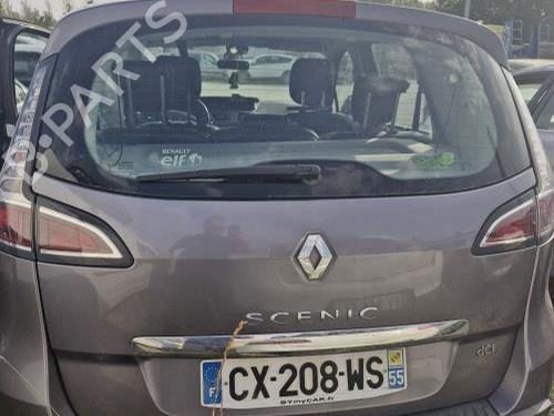 Clutch pedal RENAULT SCÉNIC III (JZ0/1_) 1.5 dCi | BP31021870I13 