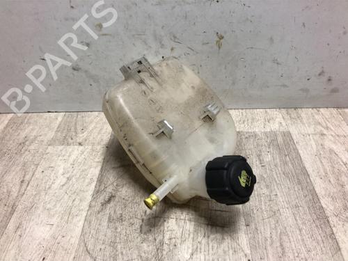 Used Expansion tank RENAULT TWINGO II (CN0_) 1.5 dCi 75 (75 hp) 23871230