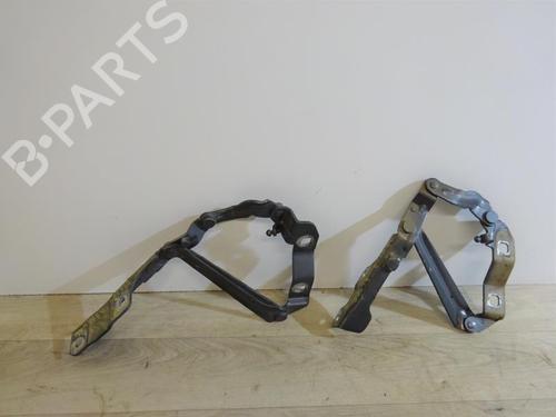 Used Hinge/Door check strap VW NEW BEETLE (9C1, 1C1) 1.9 TDI (101 hp) 13136341