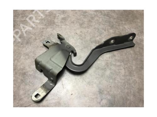 Hinge/Door check strap RENAULT CLIO IV (BH_) 1.5 dCi 75 | BP20620744C146 