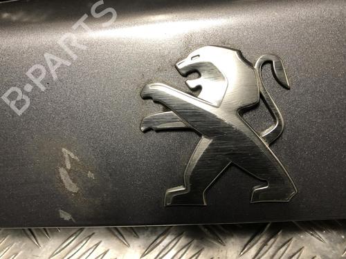 Licence plate light PEUGEOT 2008 II (UD_, US_, UY_, UJ_, UR_, UC_) 1.5 BlueHDI 100 | BP23873837I40