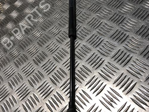 Tailgate lift support FIAT 500 (312_) 1.2 (312AXA1A) | BP31204863C138