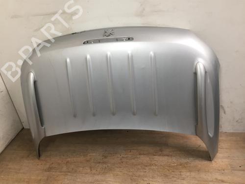 Used Tailgate PEUGEOT 206 CC (2D) 2.0 S16 (136 hp) 13269874