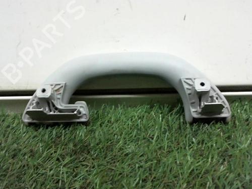 Interior roof handle VW GOLF V (1K1) 1.9 TDI | BP12976971I35 