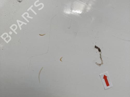 Right front door CITROËN JUMPY II Van 1.6 HDi 90 16V | BP31056735C3