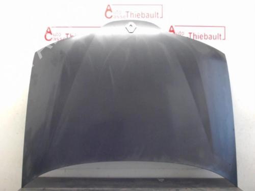 Used Hood RENAULT LAGUNA II (BG0/1_) 1.9 dCi (107 hp) 13037095