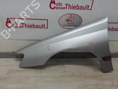 Left front fenders PEUGEOT 406 (8B) 1.9 TD | BP13291371C41 