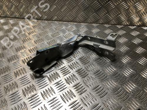 hingedoor-check-strap-citroen-c3-i-fc_-fn_-2002-2003-2004-2005-2006-2007-2008-2009-2010-2011-2012-2013-31204079 main image