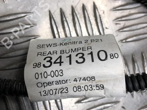 Electronic module PEUGEOT 208 II (UB_, UP_, UW_, UJ_) 1.5 BlueHDI 100 | BP24931813M83