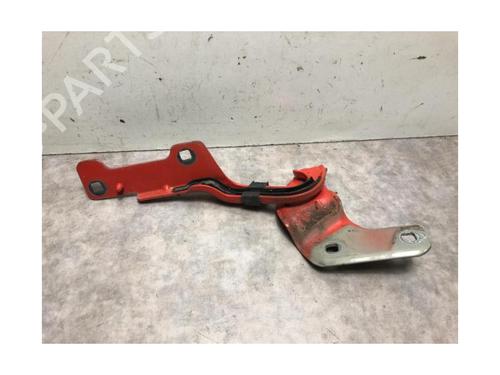 Hinge/Door check strap RENAULT CLIO III (BR0/1, CR0/1) 1.5 dCi | BP20618173C146 
