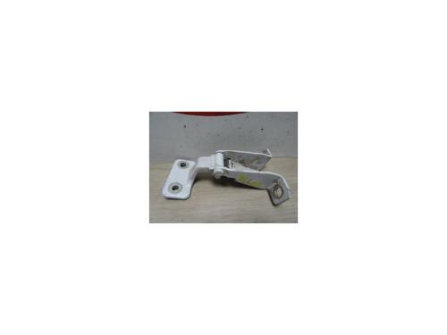 Used Hinge/Door check strap RENAULT KANGOO Express (FW0/1_) 1.5 dCi 85 (FW0K, FW0L, FW0B) (86 hp) 13136071
