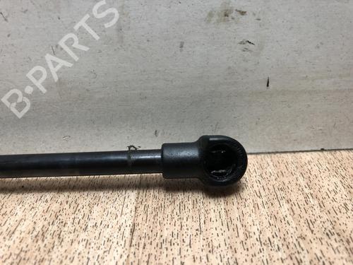 Tailgate lift support RENAULT TWINGO II (CN0_) 1.2 16V (CN04, CN0B) | BP20633021C138