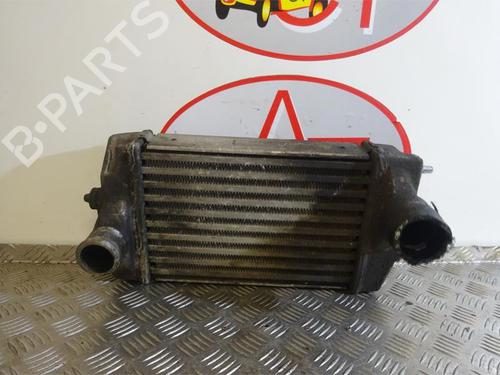 Intercooler ALFA ROMEO MITO (955_) 1.3 MultiJet (955AXP1A, 955AYC1A) | BP29323076M30 