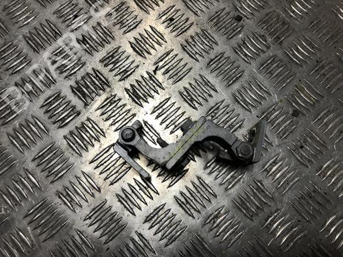 Hinge/Door check strap FIAT 500 (312_) 1.2 (312AXA1A) | BP31204772C146