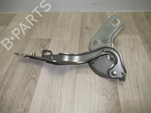 Hinge/Door check strap RENAULT CLIO III (BR0/1, CR0/1) 1.5 dCi (BR17, CR17) | BP13135591C146 