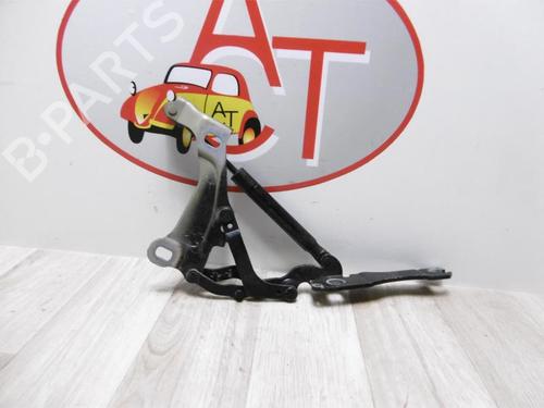 Hinge/Door check strap MINI MINI (R56) Cooper | BP20613420C146 