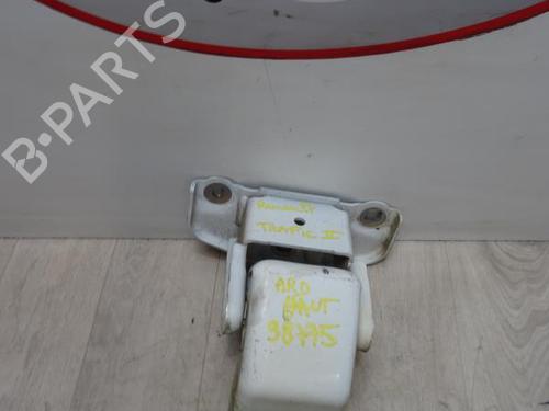 Used Hinge/Door check strap RENAULT TRAFIC II Van (FL) 2.0 dCi 90 (FL0H, FL00, FL01, FL0M, FL0P, FL0S) (90 hp) 13222574