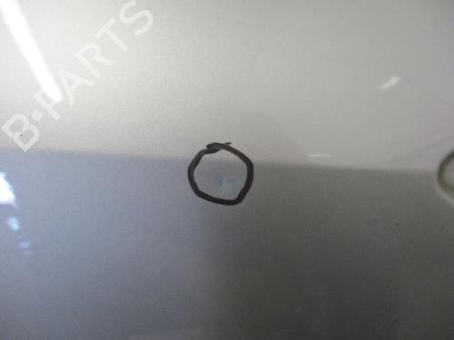 Left rear door RENAULT CLIO III Grandtour (KR0/1_) 1.5 dCi (KR0G) | BP13262605C4 