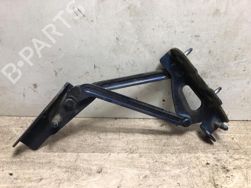 Used Hinge/Door check strap PEUGEOT 407 (6D_) 2.0 HDi 135 (6DRHRH, 6DRHRE, 6DRHRG, 6DRHRJ) (136 hp) 23871660