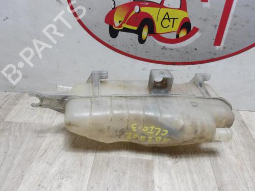 Used Expansion tank RENAULT CLIO III (BR0/1, CR0/1) 1.5 dCi (C/BR0G, C/BR1G) (68 hp) 13274134
