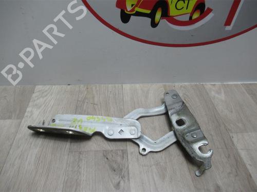 Hinge/Door check strap FORD FIESTA VI (CB1, CCN) 1.6 TDCi | BP13130213C146 