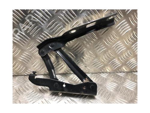 Hinge/Door check strap VW EOS (1F7, 1F8) 2.0 TDI | BP24314066C146 