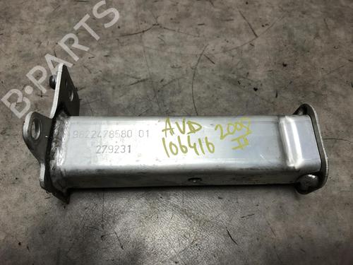 Kofangerbeslag PEUGEOT 2008 II (UD_, US_, UY_, UJ_, UR_, UC_) 1.5 BlueHDI 130 (131 hp) 31202793