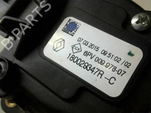 Pedal RENAULT CLIO III (BR0/1, CR0/1) 1.5 dCi | BP13264397I4 