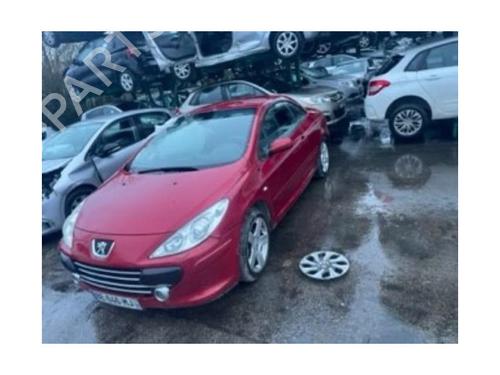 Hinge/Door check strap PEUGEOT 307 CC (3B) 2.0 HDi 135 | BP13134974C146