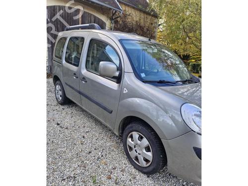 Hinge/Door check strap RENAULT KANGOO / GRAND KANGOO II (KW0/1_) 1.5 dCi (KW0C, KW2C, KW4C) | BP30769446C146