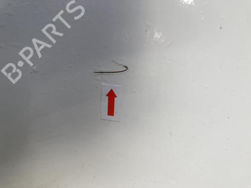 Right front door CITROËN JUMPY II Van 1.6 HDi 90 16V | BP31056735C3