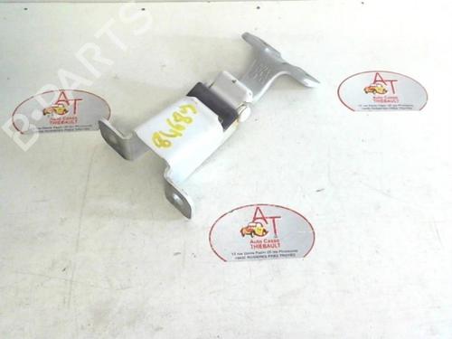 Used Hinge/Door check strap RENAULT KANGOO Express (FW0/1_) 1.5 dCi 75 (FW07, FW10, FW04) (75 hp) 13135206