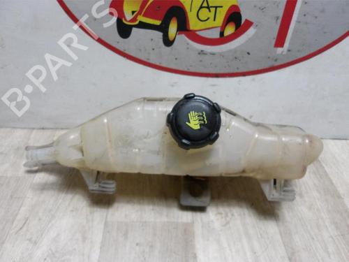 Expansion tank RENAULT CLIO III (BR0/1, CR0/1) 1.5 dCi (C/BR0G, C/BR1G) | BP13274134C120 