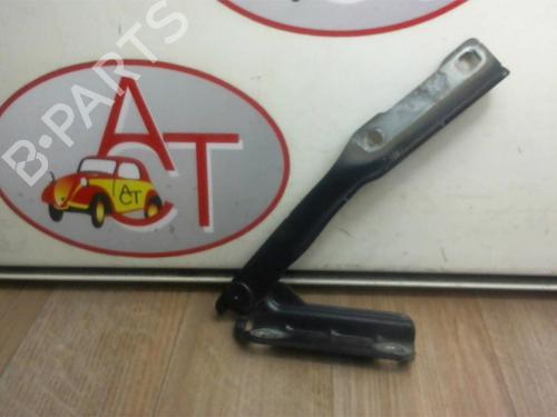 Hinge/Door check strap DACIA SANDERO 1.5 dCi | BP13128396C146