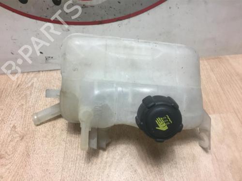 Used Expansion tank RENAULT MEGANE III Coupe (DZ0/1_) 1.6 dCi (DZ00, DZ12, DZ2A, DZ13) (130 hp) 13274171