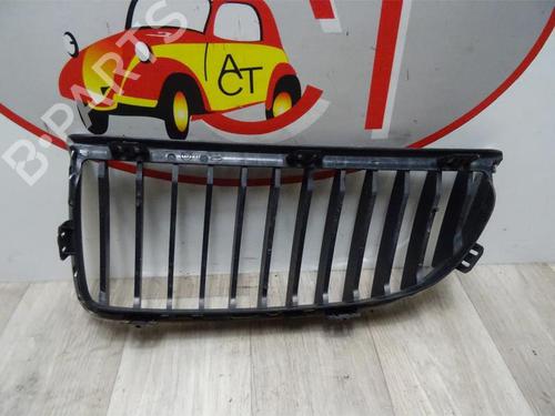Grille BMW 3 (E90) 320 i | BP13133171C40 