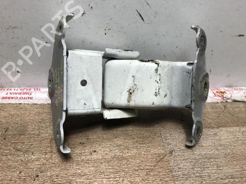 Used Hinge/Door check strap RENAULT CLIO III (BR0/1, CR0/1) 1.2 16V (78 hp) 20616300