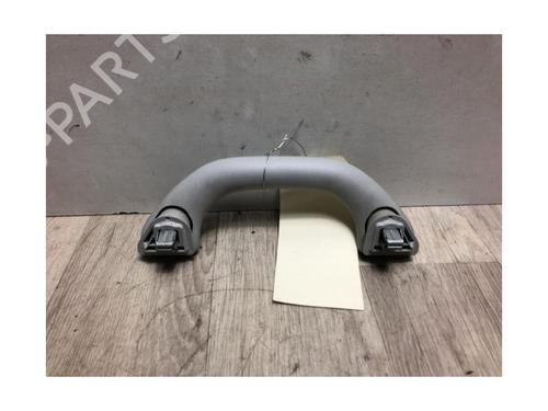 Interior roof handle VW POLO V (6R1, 6C1) 1.6 TDI | BP20613248I35 