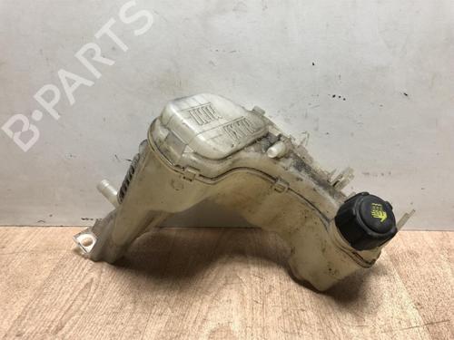 Used Expansion tank RENAULT LAGUNA III Grandtour (KT0/1) 2.0 dCi (KT07, KT0J, KT14, KT1A, KT1S) (131 hp) 20627502