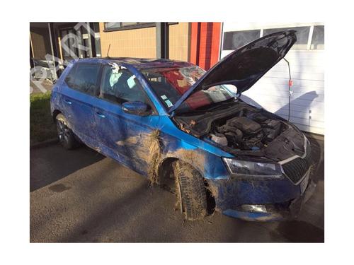 Hub cap SKODA FABIA III (NJ3) 1.0 | BP30785805C160