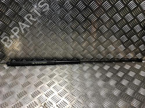 hood-lift-support-peugeot-508-sw-i-8e_-2010-2011-2012-2013-2014-2015-2016-2017-2018-23648430 main image