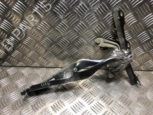 Used Hinge/Door check strap PEUGEOT 207 CC (WD_) 1.6 16V (120 hp) 31246014